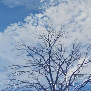 手伸进女朋友内裤里视频网站
